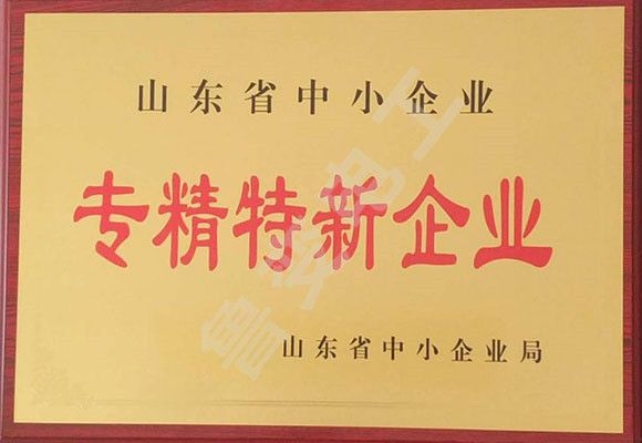 山東省專精特新證書(shū)
